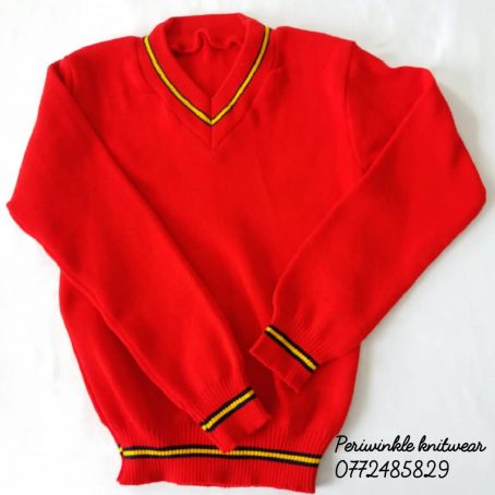 Lionsgate School jersey