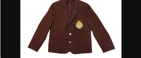 alexandra park primary  blazer