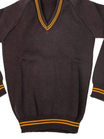 Borrowdale primary school jersey