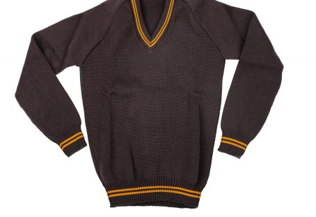Borrowdale primary school jersey